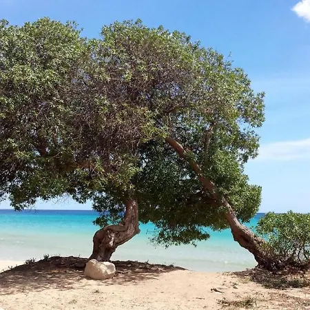 Maravola On The Beach, Parking & Wifi Holiday home